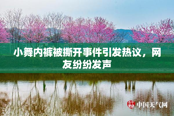 小舞内裤被撕开事件引发热议，网友纷纷发声