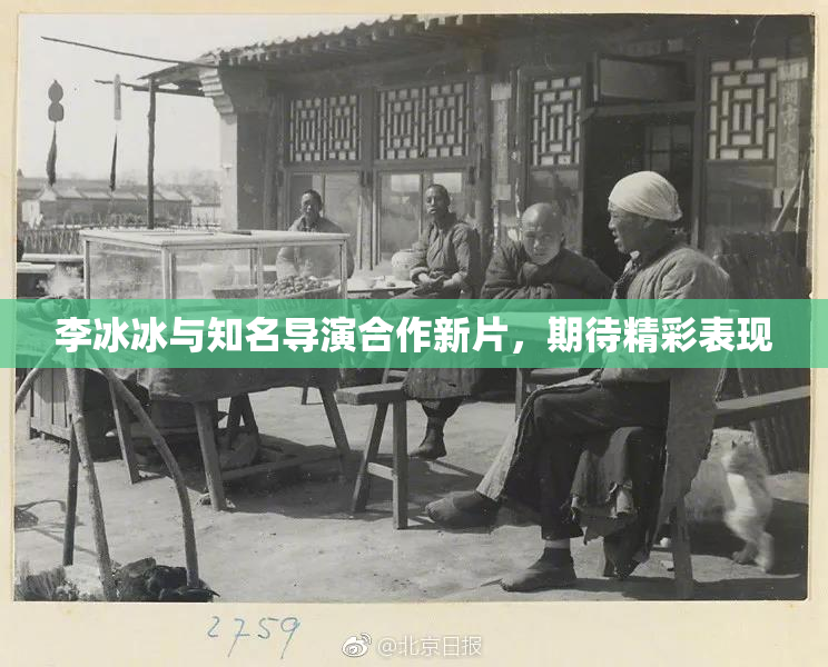李冰冰与知名导演合作新片，期待精彩表现