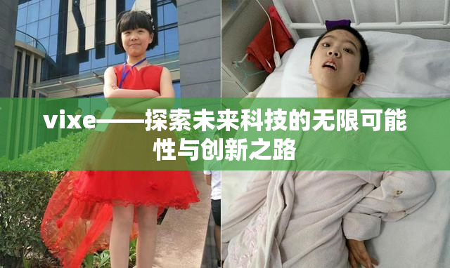 vixe——探索未来科技的无限可能性与创新之路