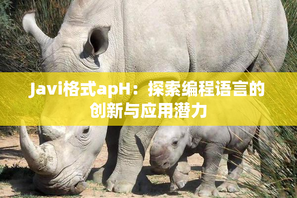 Javi格式apH：探索编程语言的创新与应用潜力