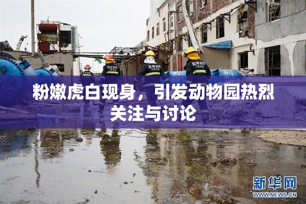 粉嫩虎白现身，引发动物园热烈关注与讨论