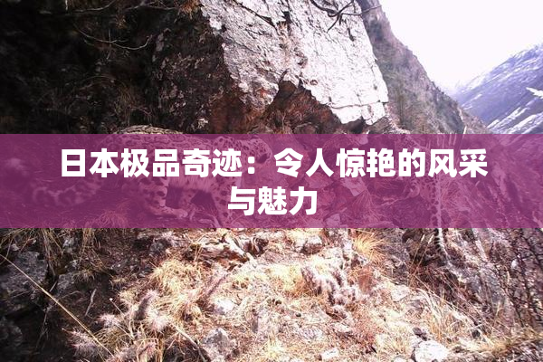 日本极品奇迹：令人惊艳的风采与魅力