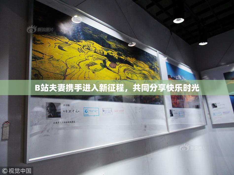 B站夫妻携手进入新征程，共同分享快乐时光
