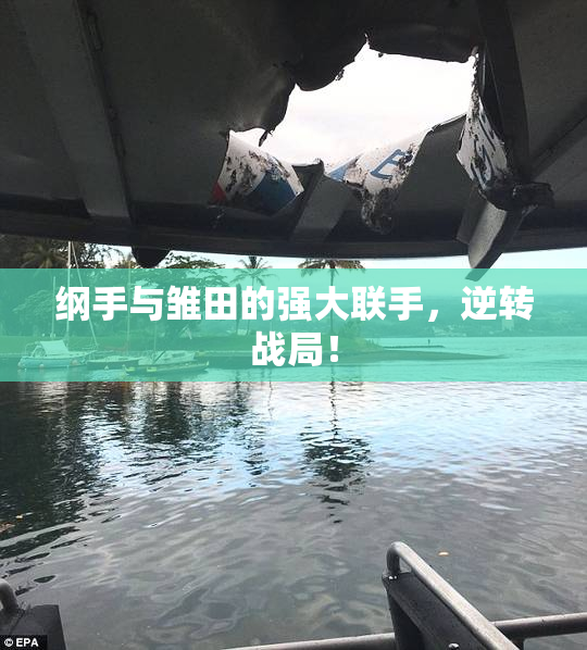 纲手与雏田的强大联手，逆转战局！