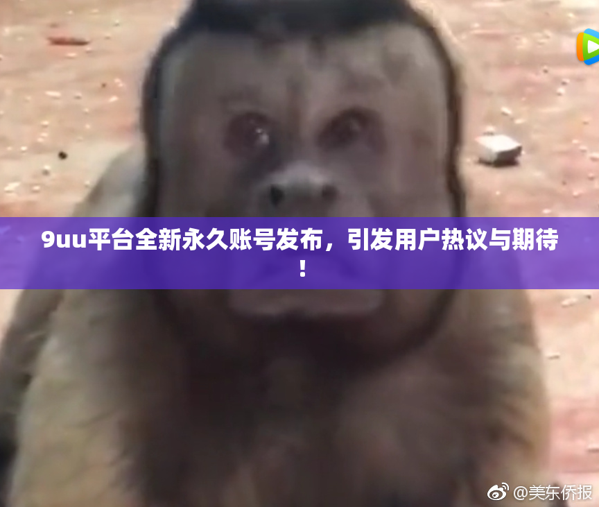 9uu平台全新永久账号发布，引发用户热议与期待！