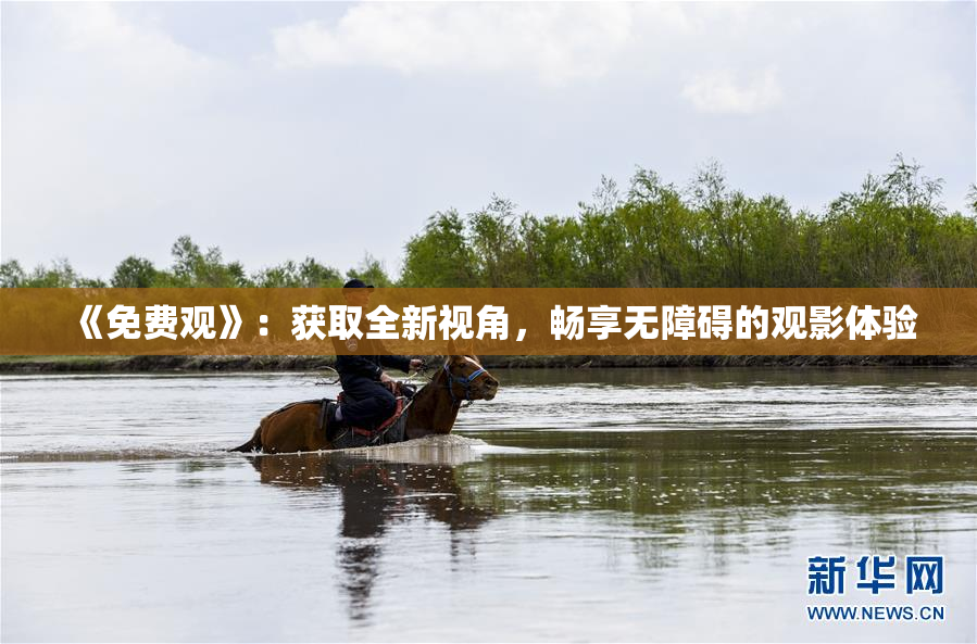 《免费观》：获取全新视角，畅享无障碍的观影体验