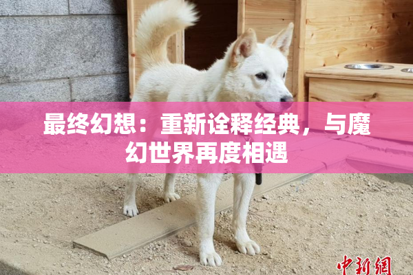 最终幻想：重新诠释经典，与魔幻世界再度相遇