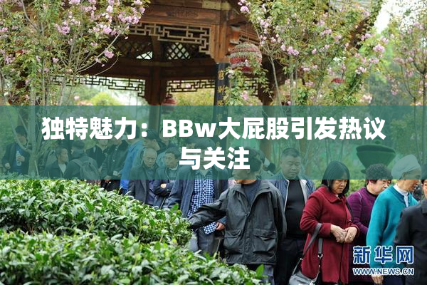 独特魅力：BBw大屁股引发热议与关注