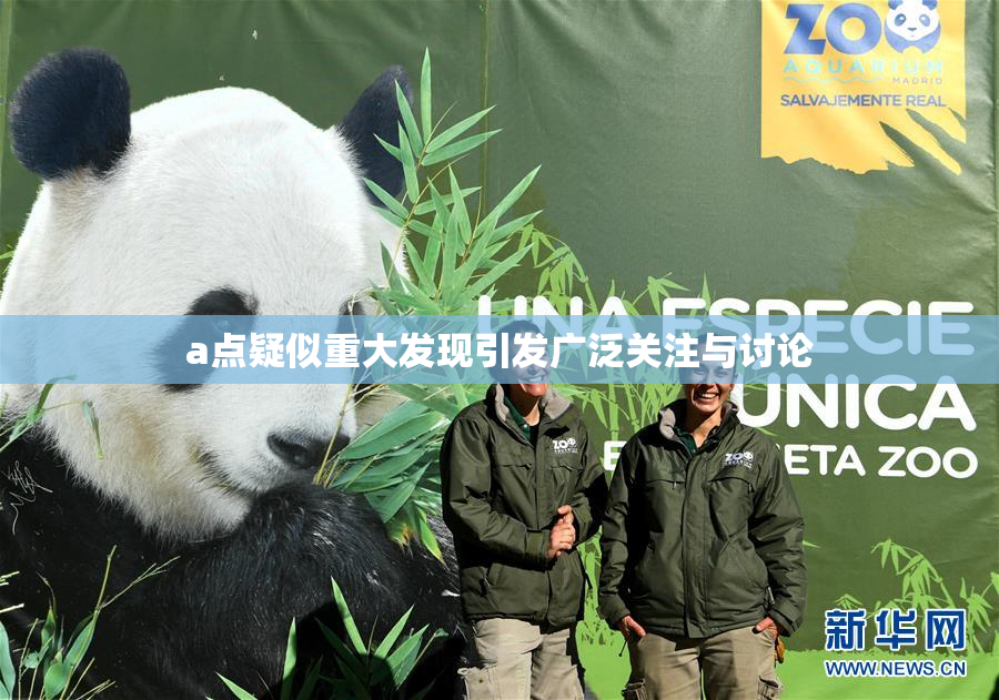 a点疑似重大发现引发广泛关注与讨论