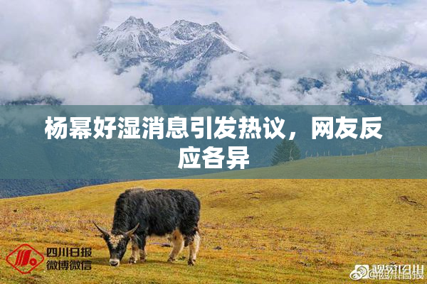 杨幂好湿消息引发热议，网友反应各异