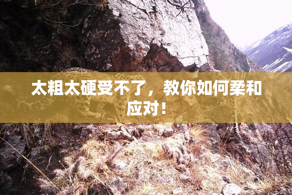 太粗太硬受不了，教你如何柔和应对！
