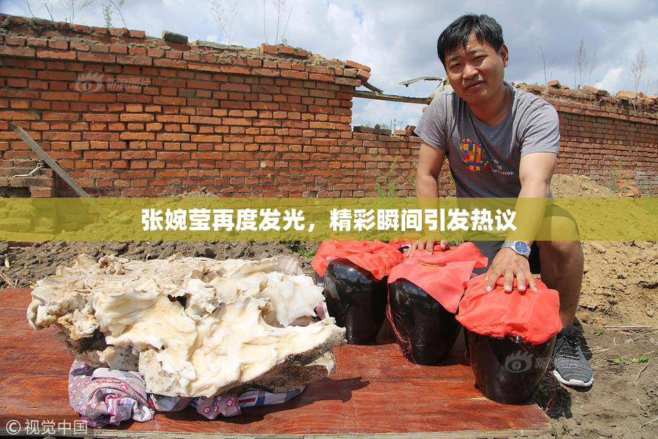 张婉莹再度发光，精彩瞬间引发热议