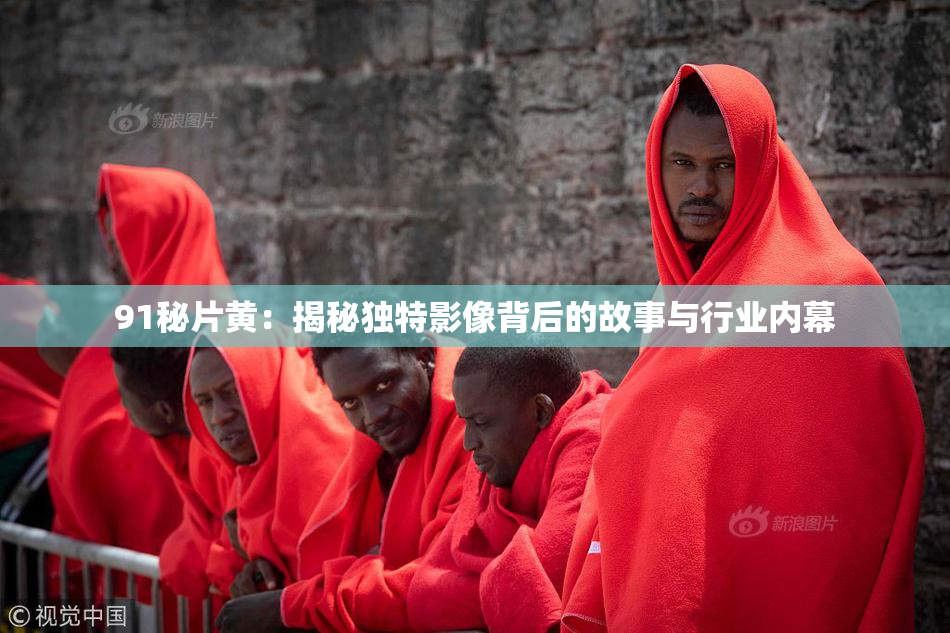 91秘片黄：揭秘独特影像背后的故事与行业内幕