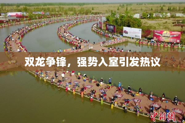 双龙争锋，强势入室引发热议