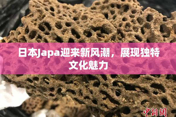 日本Japa迎来新风潮，展现独特文化魅力