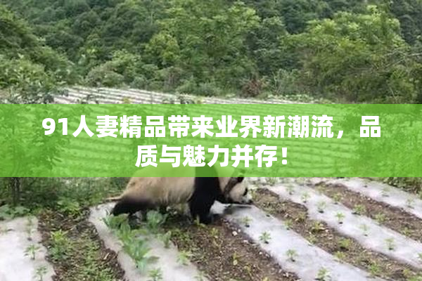 91人妻精品带来业界新潮流，品质与魅力并存！