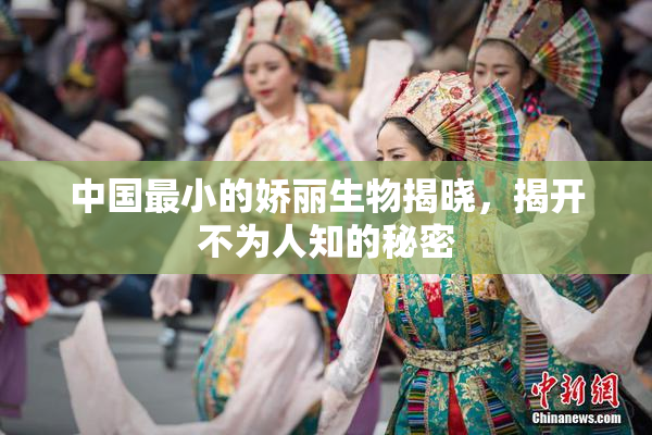 中国最小的娇丽生物揭晓，揭开不为人知的秘密