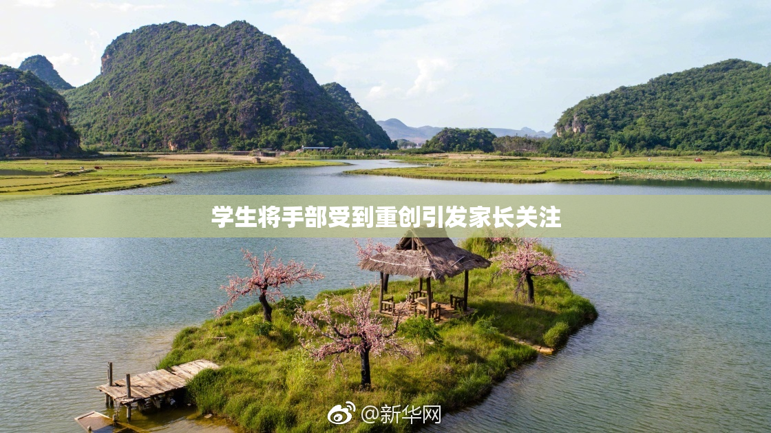 学生将手部受到重创引发家长关注