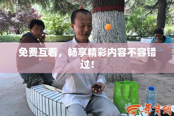 免费互看，畅享精彩内容不容错过！