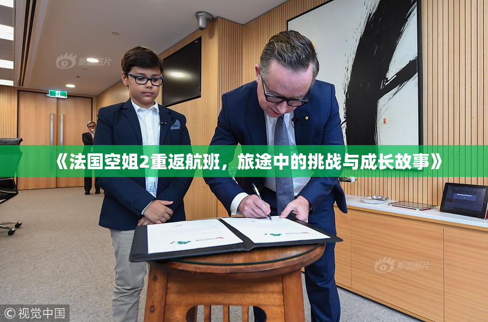 《法国空姐2重返航班，旅途中的挑战与成长故事》