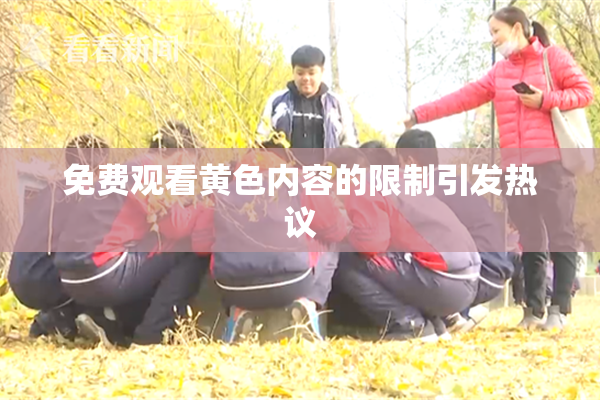 免费观看黄色内容的限制引发热议