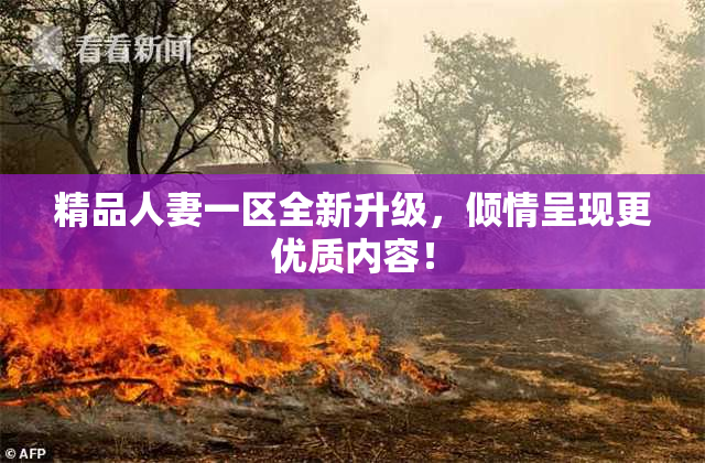 精品人妻一区全新升级，倾情呈现更优质内容！