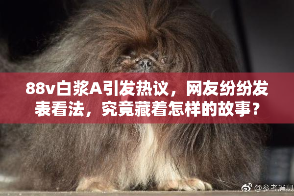 88v白浆A引发热议，网友纷纷发表看法，究竟藏着怎样的故事？