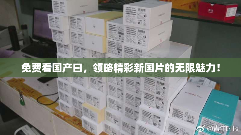 免费看国产曰，领略精彩新国片的无限魅力！