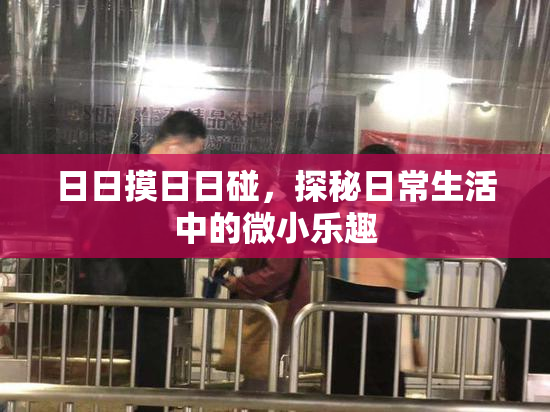 日日摸日日碰，探秘日常生活中的微小乐趣