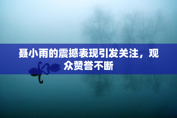 聂小雨的震撼表现引发关注，观众赞誉不断