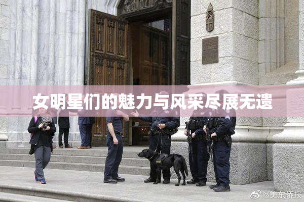 女明星们的魅力与风采尽展无遗