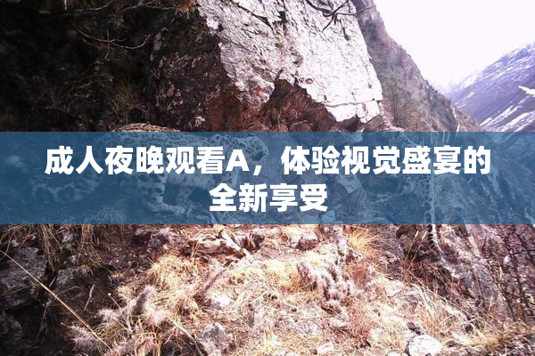 成人夜晚观看A，体验视觉盛宴的全新享受