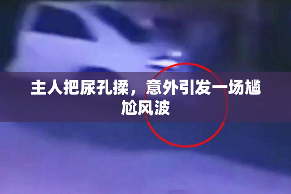 主人把尿孔揉，意外引发一场尴尬风波