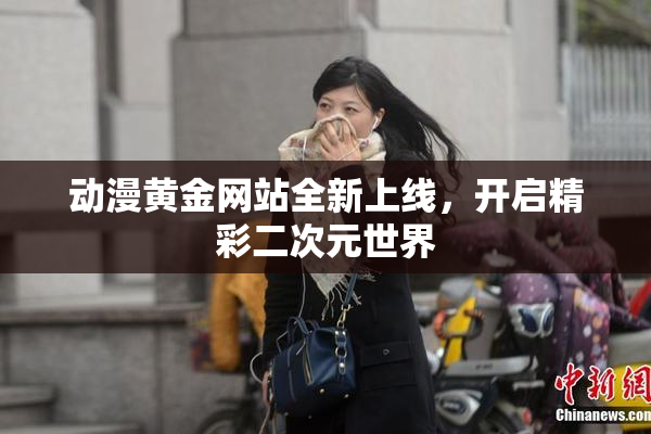 动漫黄金网站全新上线，开启精彩二次元世界