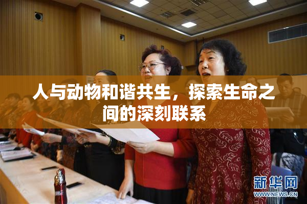 人与动物和谐共生，探索生命之间的深刻联系