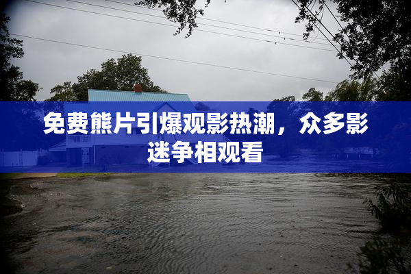 免费熊片引爆观影热潮，众多影迷争相观看