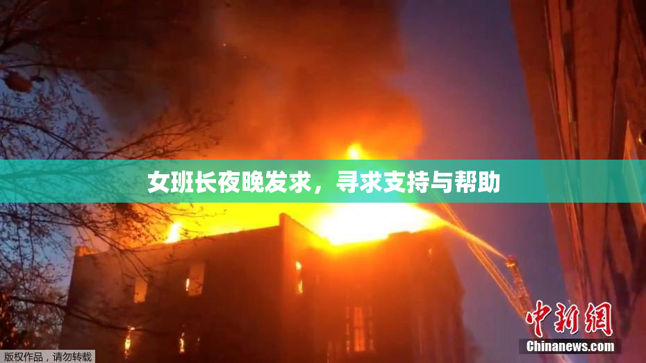 女班长夜晚发求，寻求支持与帮助