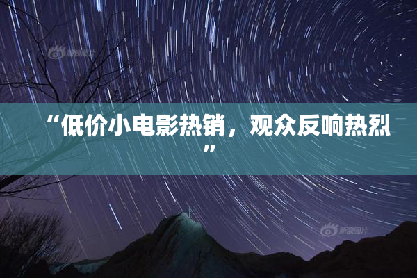“低价小电影热销，观众反响热烈”
