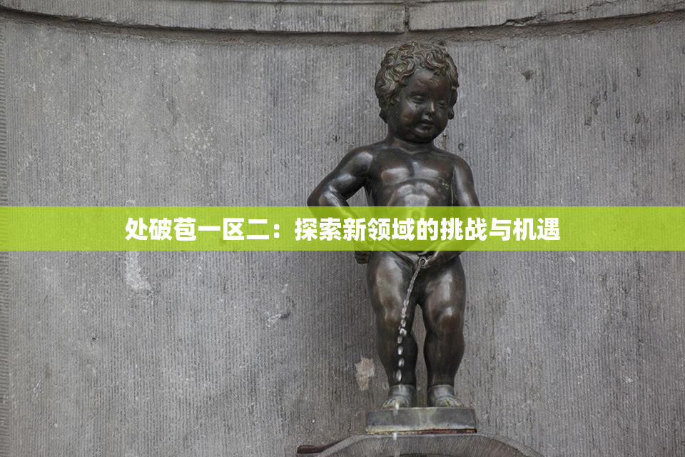 处破苞一区二：探索新领域的挑战与机遇