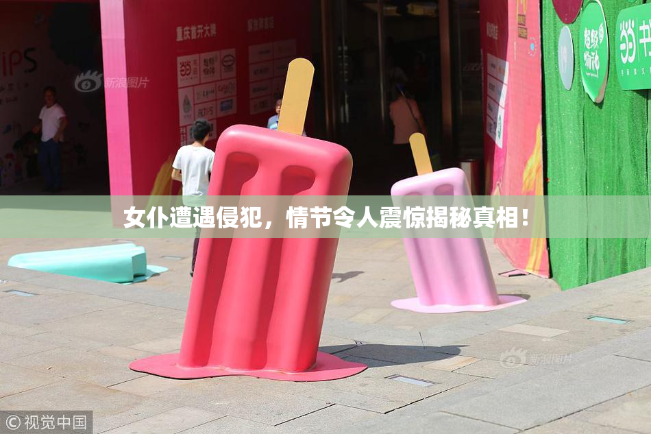 女仆遭遇侵犯，情节令人震惊揭秘真相！