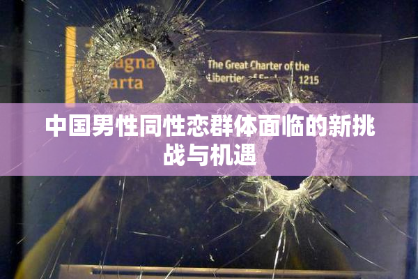 中国男性同性恋群体面临的新挑战与机遇