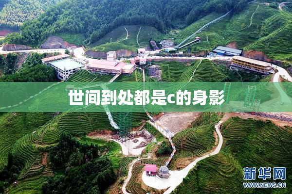 世间到处都是c的身影