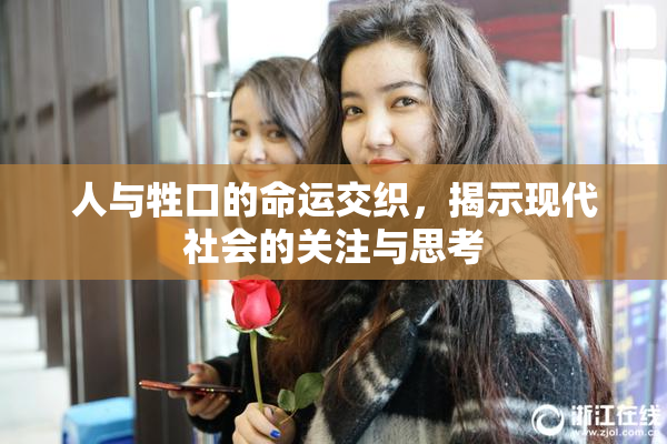 人与牲口的命运交织，揭示现代社会的关注与思考