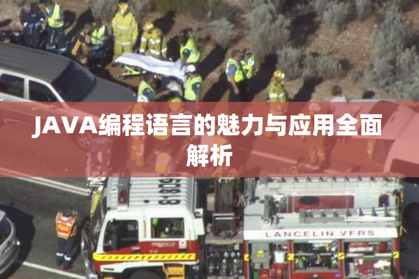 JAVA编程语言的魅力与应用全面解析