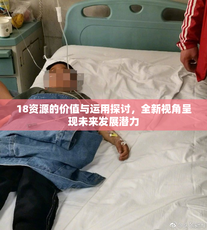 18资源的价值与运用探讨，全新视角呈现未来发展潜力