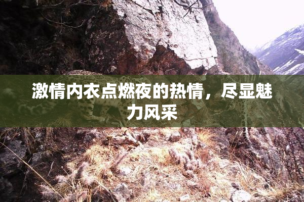 激情内衣点燃夜的热情，尽显魅力风采