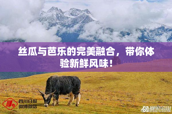 丝瓜与芭乐的完美融合，带你体验新鲜风味！