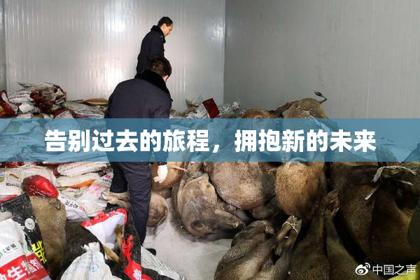 告别过去的旅程，拥抱新的未来