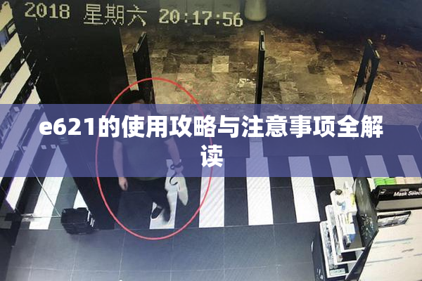 e621的使用攻略与注意事项全解读