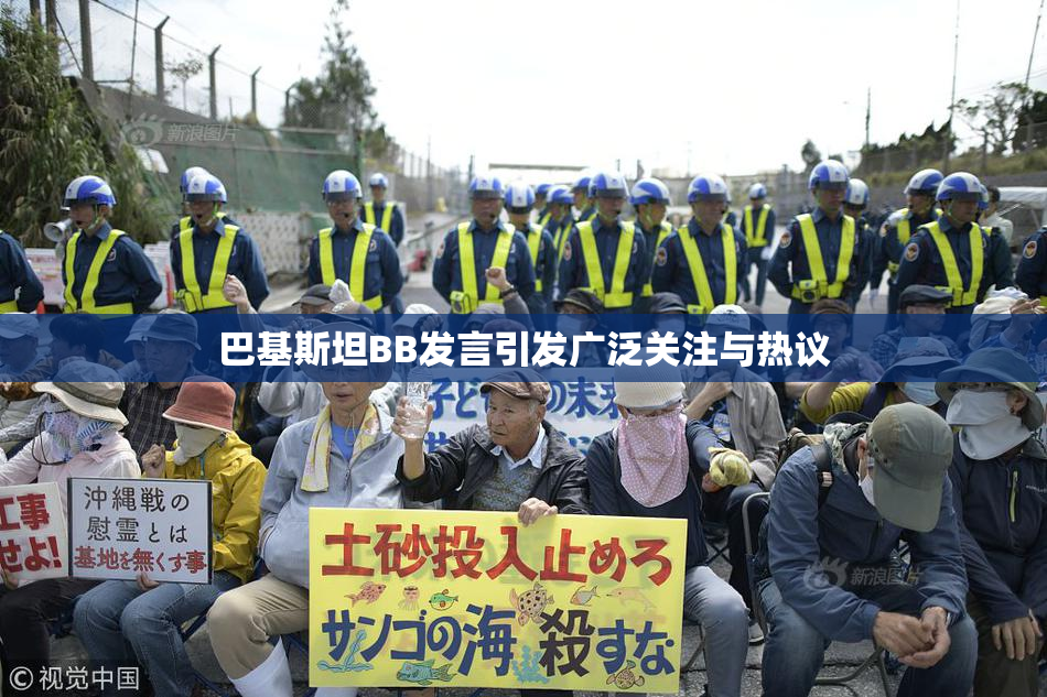 巴基斯坦BB发言引发广泛关注与热议